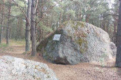 Margitud-kivi-Aegna