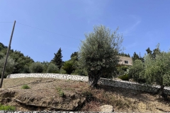 Kiviaiad-Achilleion-Benitses-Corfu