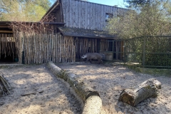 Riia-Loomaaed